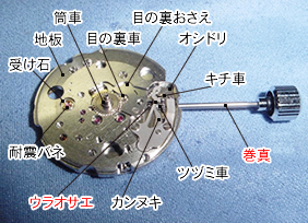 時計の構造（手巻時計） 機械文字板側　ロレックス オメガ ROLEX OMEGA 旧式 低年式 アンティーク ビンテージ オーバーホール リペア