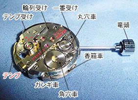 時計の構造（手巻時計） 機械裏側　ロレックス オメガ ROLEX OMEGA 旧式 低年式 アンティーク ビンテージ オーバーホール リペア